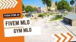 best GYM FiveM MLO