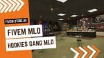 Perfect FiveM Hookies Gang MLO
