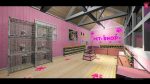 good FiveM Pink Pet Shop MLO