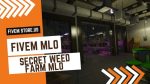 best FiveM Secret Weed Farm