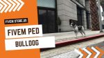 best FiveM bulldog Ped
