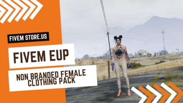 Non Branded Female FiveM Clothing Pack